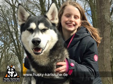 Sky bei der Husky Wanderung in Karlsruhe - Pedalkart