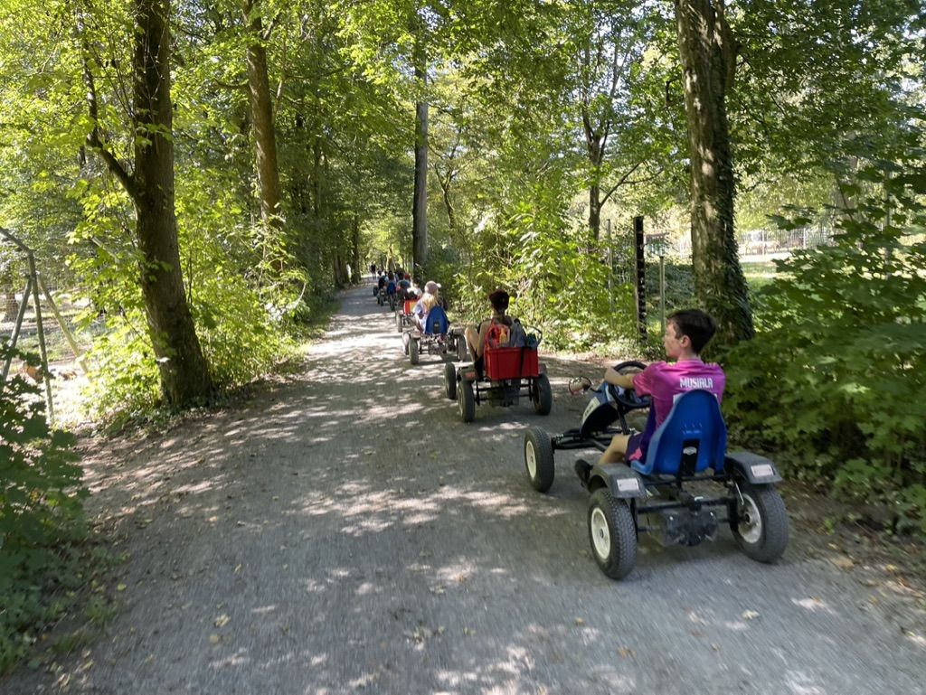Eine Kolonne Pedal-Kett-Karts fährt durch eine grüne Waldallee