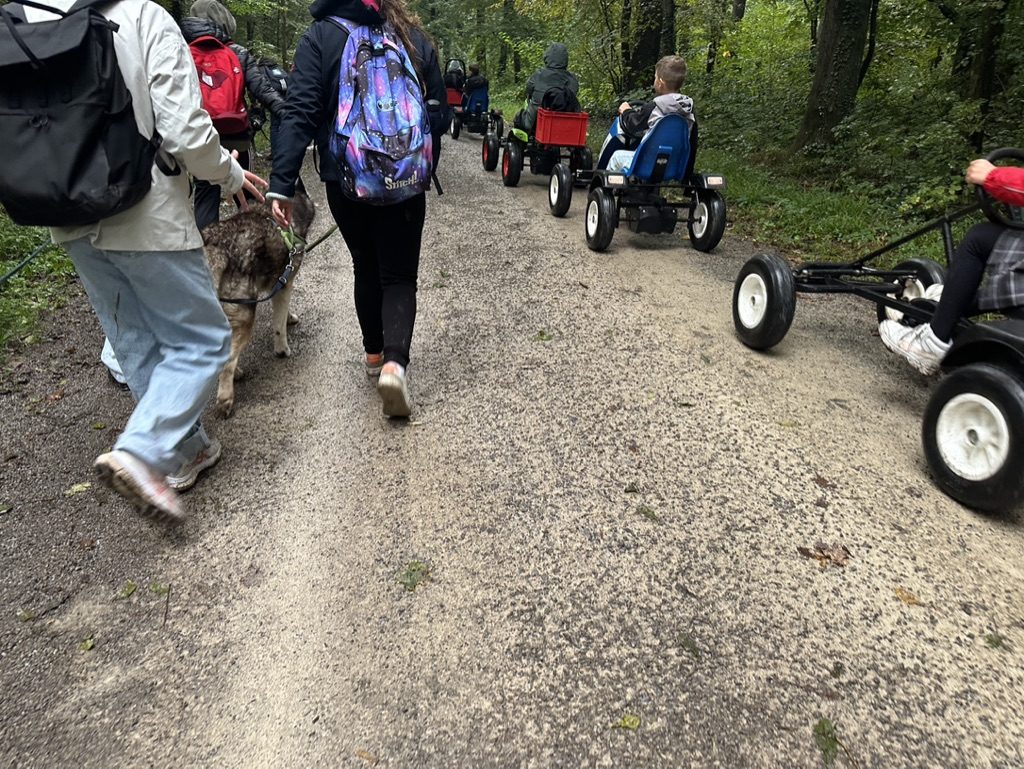 Kinder im Kart und eine Gruppe mit Husky auf dem Waldweg