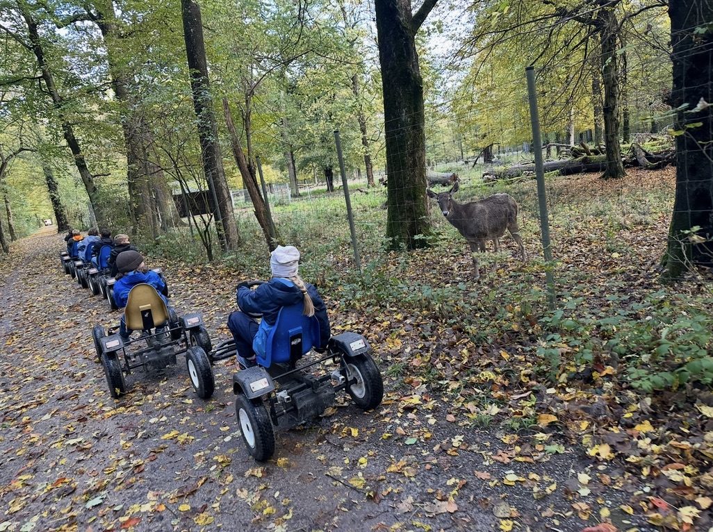Kinder fahren mit Karts am Wildgehege vorbei, ein Hirsch schaut zu